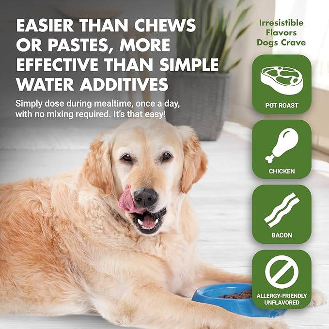 K9 Hip & Joint Formula, Chicken Flavor, 16 oz (Pack of 4)