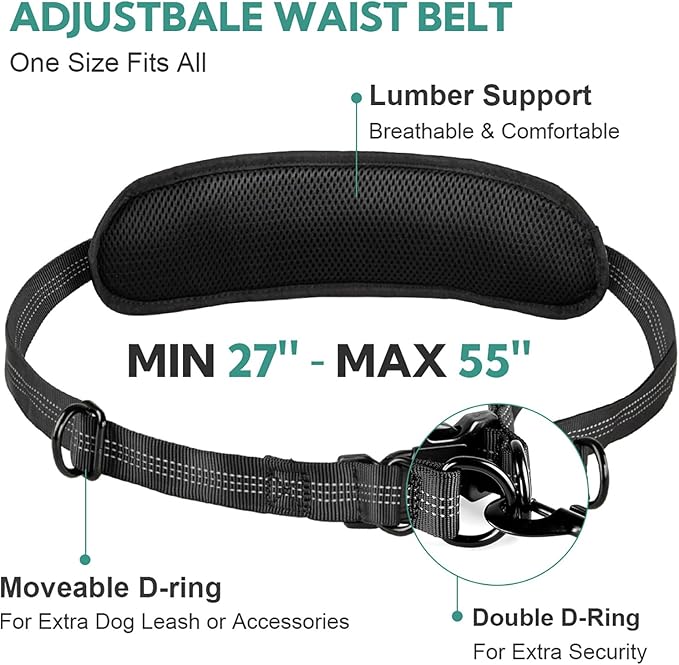 Hands Free Dog Leash with Pouch, Double Leash for Two Dogs, Retractable Bungee with Double Padded Handles, Waist for Dog Walking, Running for Dogs, Dog Walking Accessories