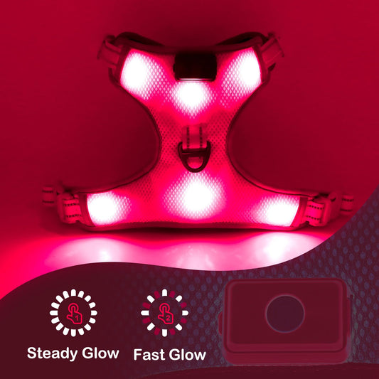 BSEEN Light Up Dog Harness - No Pull LED Dog Harness Rechargeable Glow in The Dark Lighted Pet Safety Vest for Small Medium Large Dogs, Flashing Dog Lights for Night Walking (Pink, Medium)