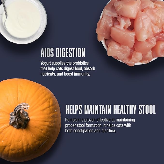 Whole Life Pet Healthy Gut Daily Cat Supplements, Cat Probiotics for Constipation Relief, Anti Diarrhea, Vomit Remedy & Digestive Support, Pumpkin Puree for Cats, Cat Health Supplies - 30-Day Supply