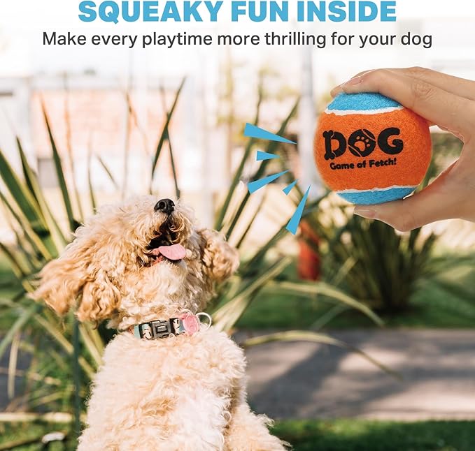 AMA SPORT Squeaky Tennis Balls for Dogs 2.5" Small Medium Dog Tennis Balls for Throwing and Fetching Dog Toys for Training, Exercise, High Bouncing 4 Pack (Orange Light Blue)