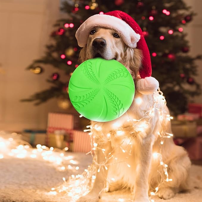 Nobleza 2 Pack Dog Flying Disc, Flexible Floatable Dog Disc Toy for Long-Distance Flies and Floats, Lightweight Soft Flying Discs Toy for Small Medium Large Dogs to Fetch & Catch, Blue & Green