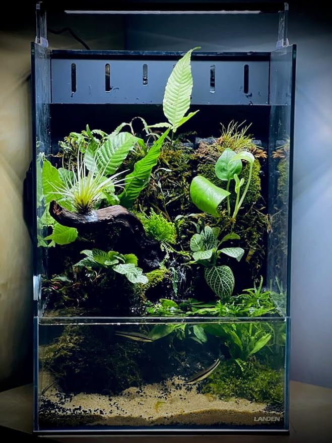 LANDEN Panna Natural Driftwood for Aquarium Decor Freshwater Fish Tank(12-14 inches, 30-35cm) 4pcs Terrariums Vivariums Reptile and Amphibian Enclosures Lizard Bearded Dragon Tortoise Various Shapes