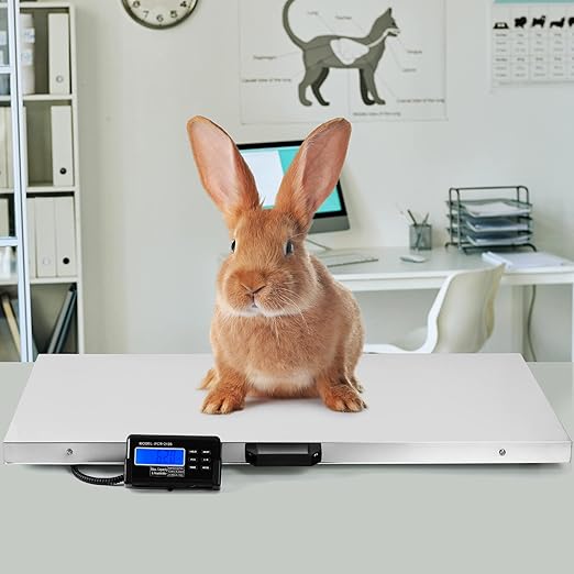 Houseables Dog Scale, Pet Scale, For Large Breed, 440 LB, For Livestock, Dog Weight, Animal, Veterinary, Sheep, Goat, Pig, Shipping, Packages, Weighing, Puppy, Vet, Heavy Duty, Digital, 41x21 Platform