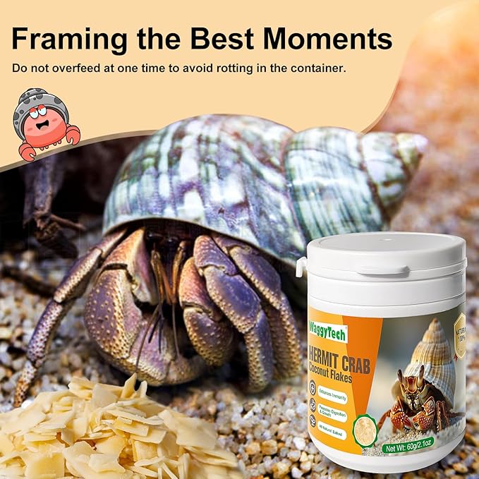 Hermit Crab Food - Baked Coconut Treat, Natural Dried Coconut for Crab Healthy & Additive Free, Easily Digestible Hermit Food Hermit - Ideal Crab Pet Snacks, Crab Accessories Crispy & Delicious | 60g