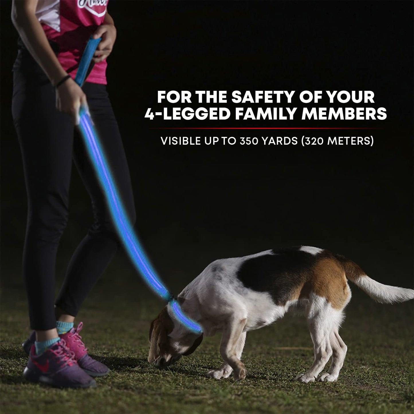 ILLUMISEEN LED Light Up Dog Leash | Ultra High Visibility Up to 350 Yards | 3 Lighting Modes | USB Rechargeable, No Batteries Needed | Padded Handle & Rotating Swivel Clasp to Prevent Leash Tangling
