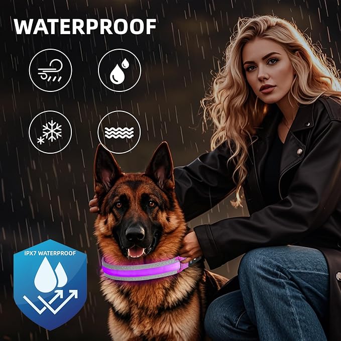 PetIsay LED Dog Collar Metal Buckle - Heavy Duty Light up Collars - Rechargeable IP68 Waterproof - Lighted Dog Collar for Night Walking, Hiking, Camping (Medium, Purple)