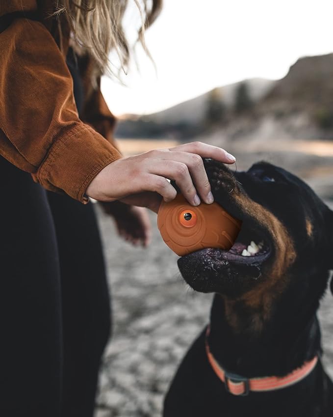 Giggle Ball for Dogs Owl Toys for Aggressive Chewers Dog Ball Toy for Puppy Medium Large Dogs Fun Gift for Dog Natural Rubber Cute Hoot Brown