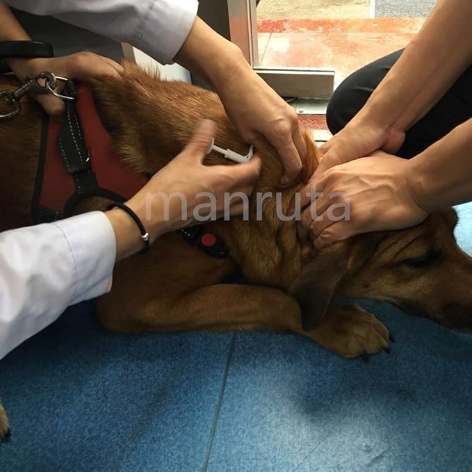 ISO Dog ID Microchip for Dogs and Cats 15 Gauge 1.4X8mm Size 10 Pack Universal Standard ISO 11784/5 134.2Khz Unique 15 ID Numbers