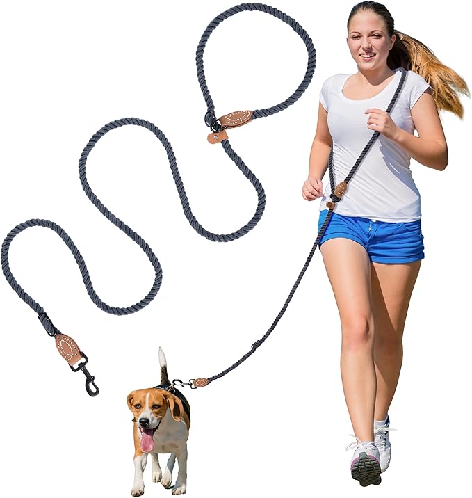 Mile High Life Hands Free Dog Leash, Crossbody Waist Leash with Genuine Leather Connection, Multifunctional Adjustable Slip Lead for Dog Walking Running (Blue Green, 7FT)