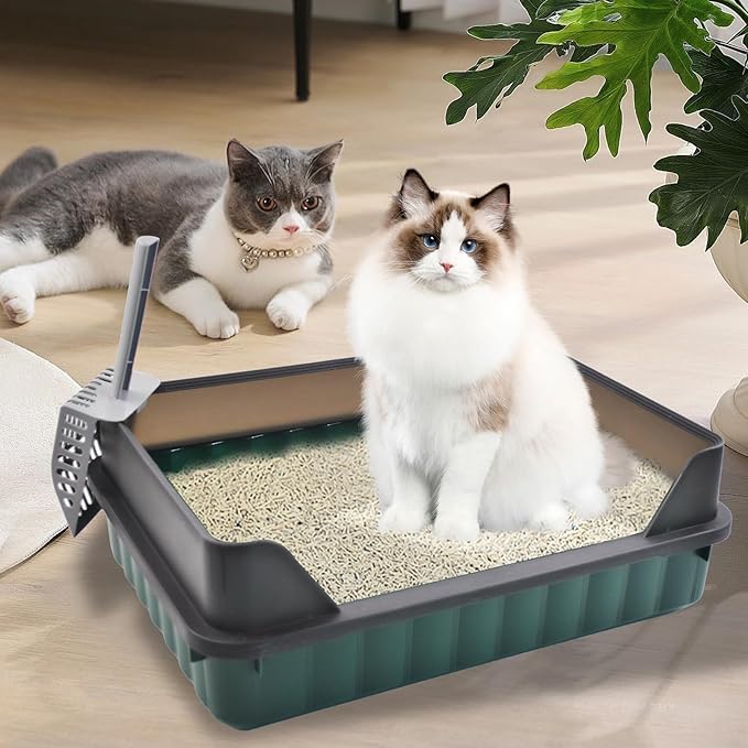 Cat Litter Boxes Large,Kitty Litter Box Low Entry High Sides,Semi Enclosed Front Entry Cat Pan Anti-Splashing Detachable Kitten Toilet with Scoop (Green)