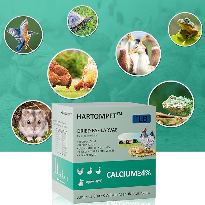 HARTOMPET Better Than Dried Mealworms for Chickens 1 lbs - 85X Calcium Than MealWorms - Non-GMO Chicken Feed Additive & Molting Supplement - black soldier fly larvae Treats for Hens, Ducks, Wild Birds