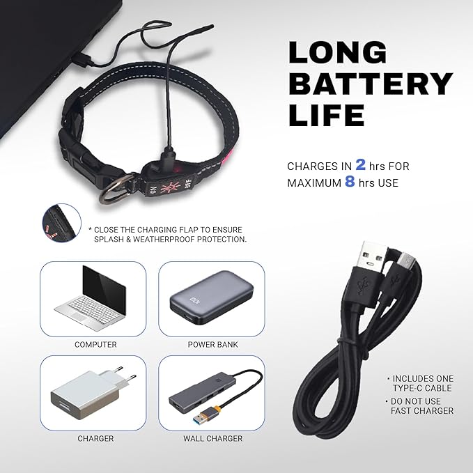 LED Dog Collar - Bright Premium Weatherproof Light Up Collar for Pet Safety, USB C Rechargeable & Adjustable for Small, Medium & Large Dogs (Multicolor, Medium)