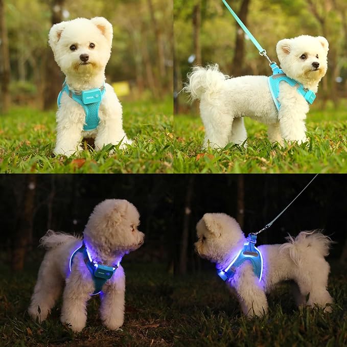 Light Up Dog Harness,Rechargeable LED Dog Harness for Small Medium Large Dogs,Reflective Lighted Safety Vest for Night Walking & Camping,Lightweight & Adjustable,Blue,S