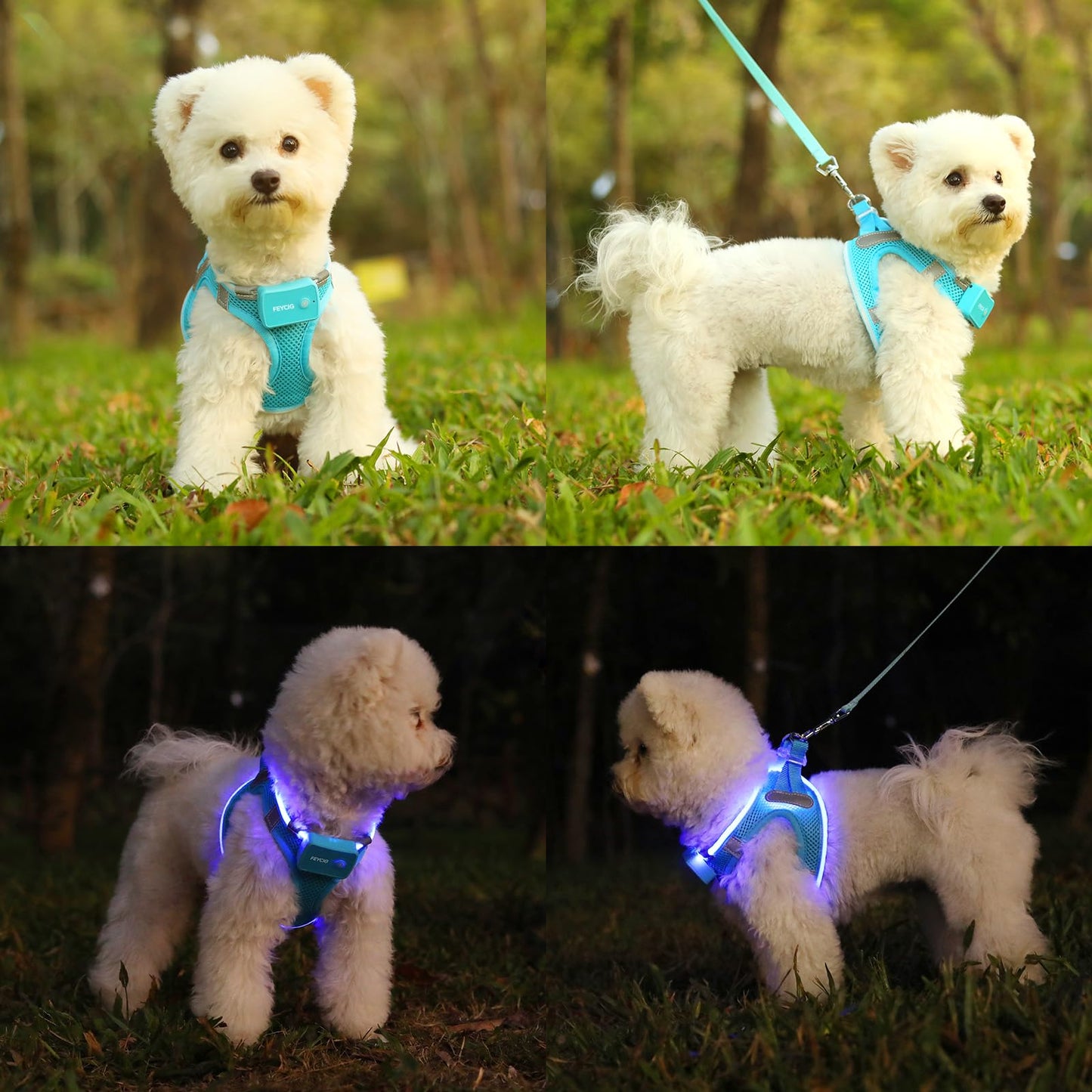Light Up Dog Harness,Rechargeable LED Dog Harness for Small Medium Large Dogs,Reflective Lighted Safety Vest for Night Walking & Camping,Lightweight & Adjustable,Blue,XS