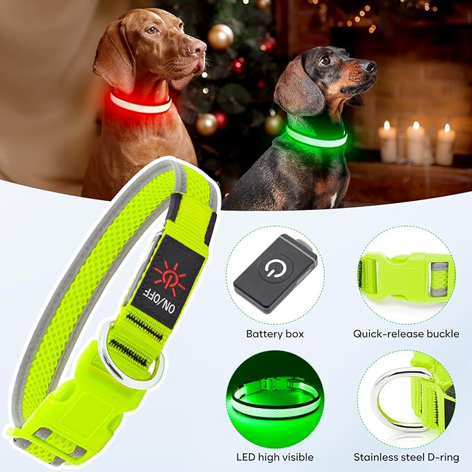 LED Dog Collar, Light Up Dog Collar USB Rechargeable, Brightest Dog Lights for Night Walking, Adjustable Dog Collar Light for Dog Safety(Medium, Neon Green)