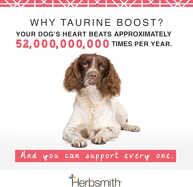 Herbsmith Taurine Boost - Cardiac and Heart Support for Dogs and Cats - Taurine Supplement for Dog and Cat Heart Health – with CoQ10, Taurine and L-Carnitine for Dogs - 75g