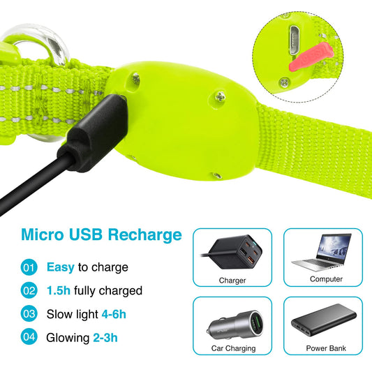KOSKILL LED Dog Collar - Light Up, Adjustable, Rechargeable, Waterproof, Glow in Dark for Small Pets (S, Green)