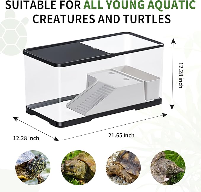 (Tank + Light + Filter + Filter Balls) Turtle Tank Kit, Turtle Tank Starter Kit,Bottom Drainage, Multi-Function Areas for Turtles, Crabs,Fishes, Amphibians,Reptiles.(21.65 × 12.28 × 12.28 Inch)