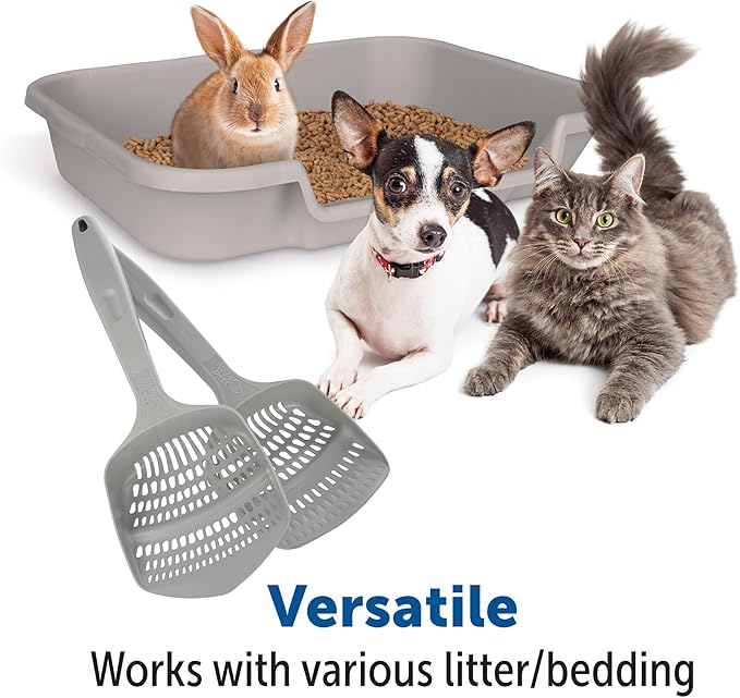 KittyGoHere Senior Cat Litter Box 2 Pack, Large Misty Gray Low Entrance Kitty Litter Box, Sized for Cats Comfort, Perfect for Senior and Arthritic Cats, Made in USA – Includes Long-Handle Jumbo Scoop