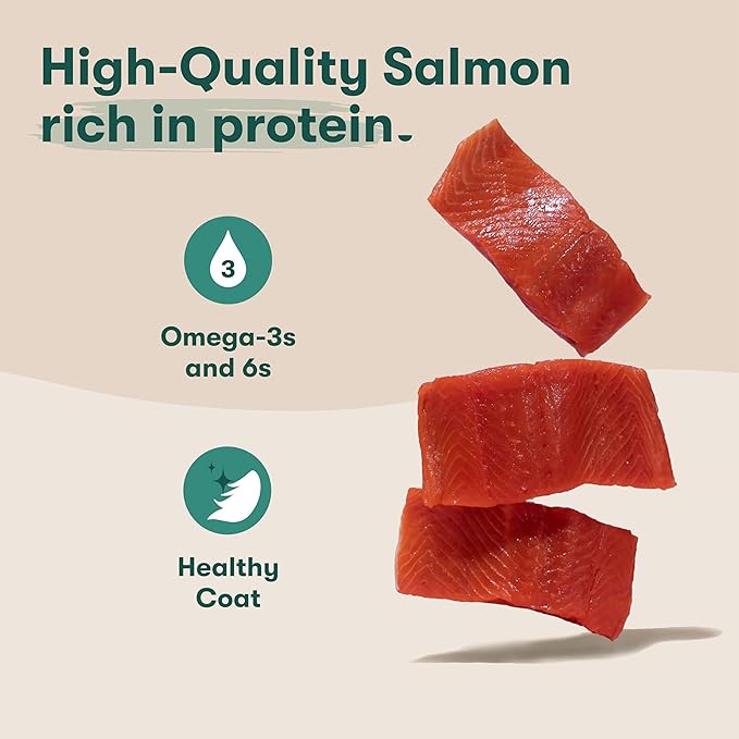 Jinx Bone Broth Stew for Dogs, Variety Pack - Chicken & Salmon Recipes - Grain-Free Wet Dog Food & Topper for Picky Eaters - Promotes Lean Muscle Growth, Healthy Coat & Digestion - 13 Oz, 12 Pack