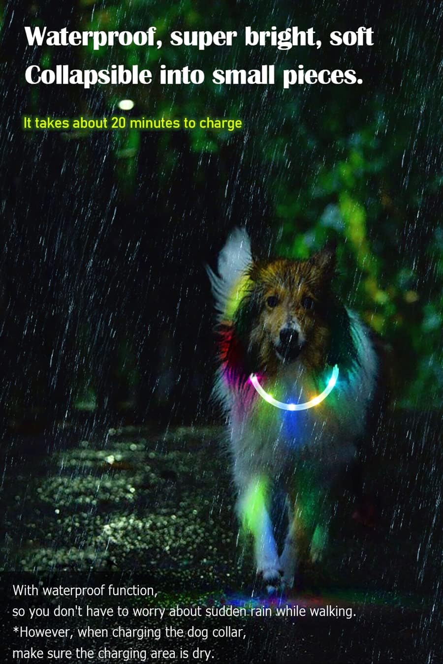 Waterproof LED Dog Collar USB Rechargeable Light Up Dog Collars Lights for Night Walking Lighted Safety Training & Behavior Aids for Small Medium to Large Dogs