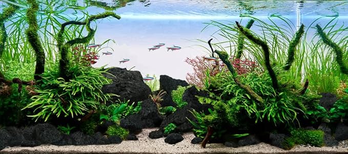 LANDEN Kueiyang Hornwood for Aquascaping, Aquarium Driftwood Decor, Natural Branches(12-14 inches, 30-35cm) 4pcs Terrariums Vivariums Reptile and Amphibian Enclosures Various Shapes