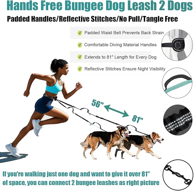 Hands Free Dual Dog Leash with Pouch for Medium & Large Dogs - Crossbody & Waist Leash for Dog Walking - Bungee with Padded Handles, Reflective Stitches, No Pull, Tangle Free