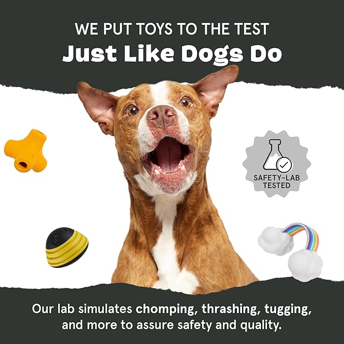 Barkbox Habanero Pupper Dog Toy for Medium Dogs Built for Aggressive Chewers, Who Love Tugging, Tossing and Thrashing Fun