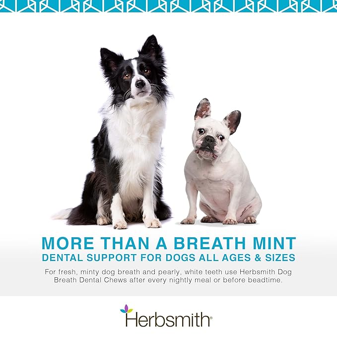 Herbsmith Dog Breath - Dog Dental Care Solution - Natural Dog Breath Freshener That Tackles Tartar - Dental Powder for Dogs - 75g Powder