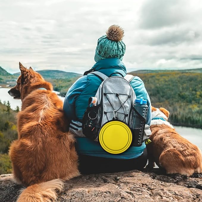 Collapsible Dog Bowl, Lightweight and Portable, Ideal for Outdoor, Hiking, Camping, and Walking Your Dog