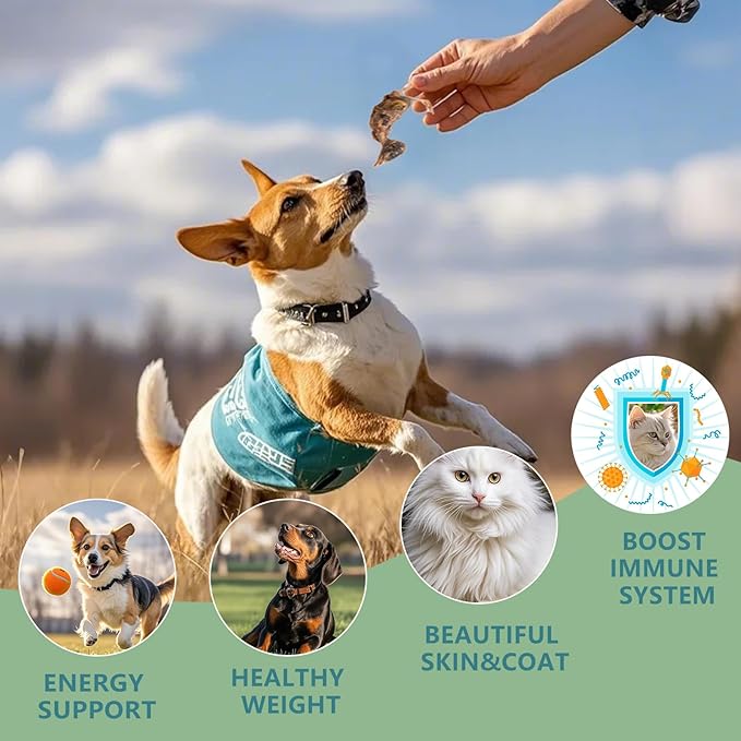 Freeze Dried Little Quail, 4.5 Oz Quail Dogs Cat Treats, Single Ingredient Freeze Dried Cat and Dog Treats Delicious Training Snacks, Natural Food Healthy Animal Protein Pet Food