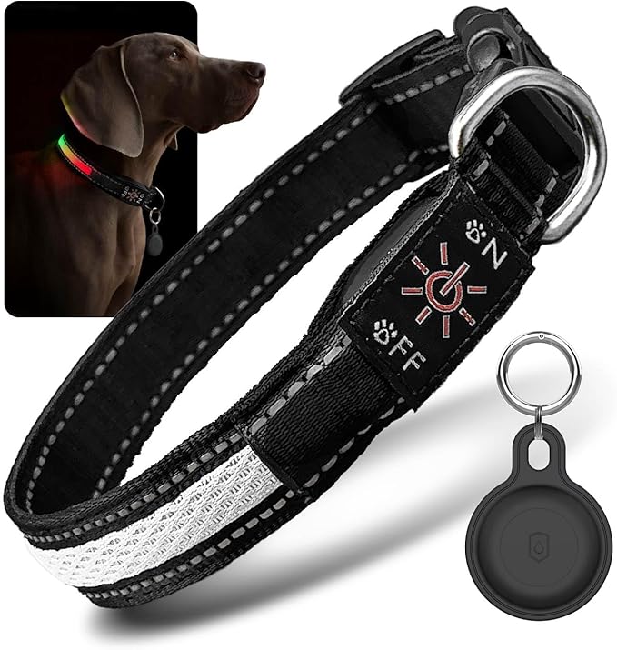 LED Dog Collar with Tracker Case - Bright Weatherproof Light Up Safety Collar, Silicone Tracker Holder, USB-C Rechargeable & Adjustable for Small, Medium & Large Dogs (Multicolor, Medium)