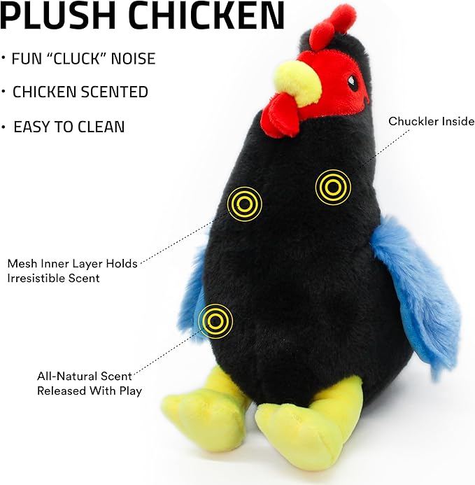 Playology Plush Toys for Dogs | Stuffed Animal Hen | Chicken Scented for Medium Dogs