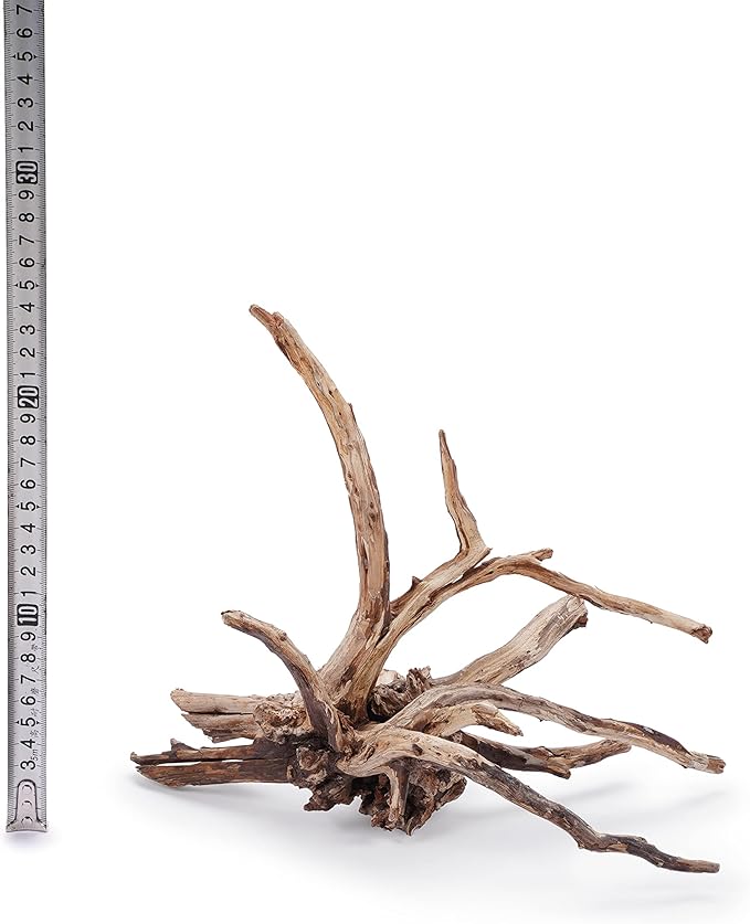 LANDEN Kueiyang Hornwood for Aquascaping, Aquarium Driftwood Decor, Natural Branches(12-14 inches, 30-35cm) 4pcs Terrariums Vivariums Reptile and Amphibian Enclosures Various Shapes