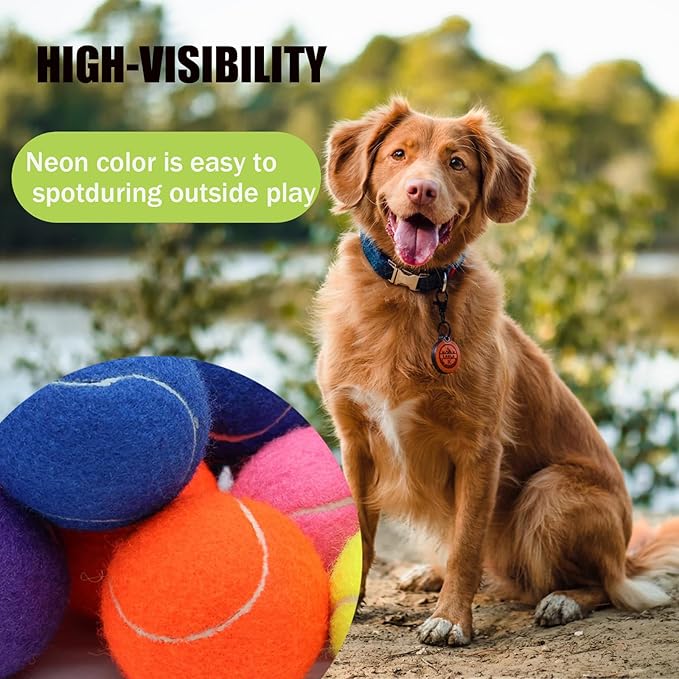 Magicorange Large Tennis Balls for Dogs, 4 Pack 4 Inch Big Tennis Ball Pet Chew Toy Large Balls for Outdoor/Indoor Sports(Multicolor, 4 Pack)