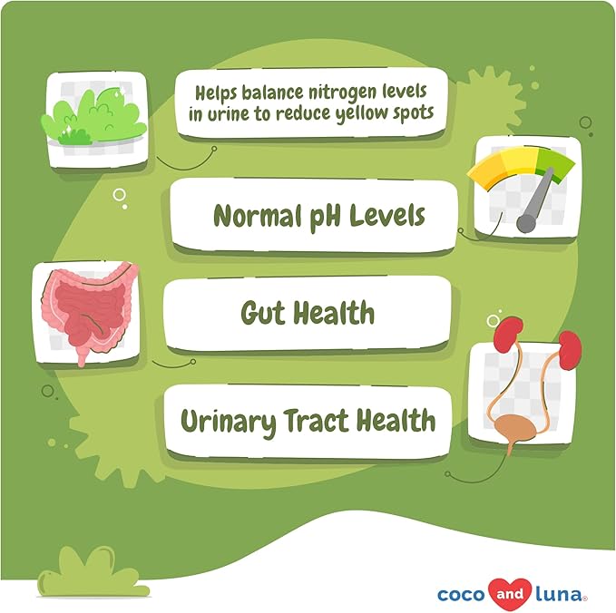 Grass Burn Spot Soft Chews - Pee Grass Spot Saver Caused by Dog Urine - Dog Urine Neutralizer for Lawn, with Canine Enzyme Blend, Probiotics, and Cranberry.