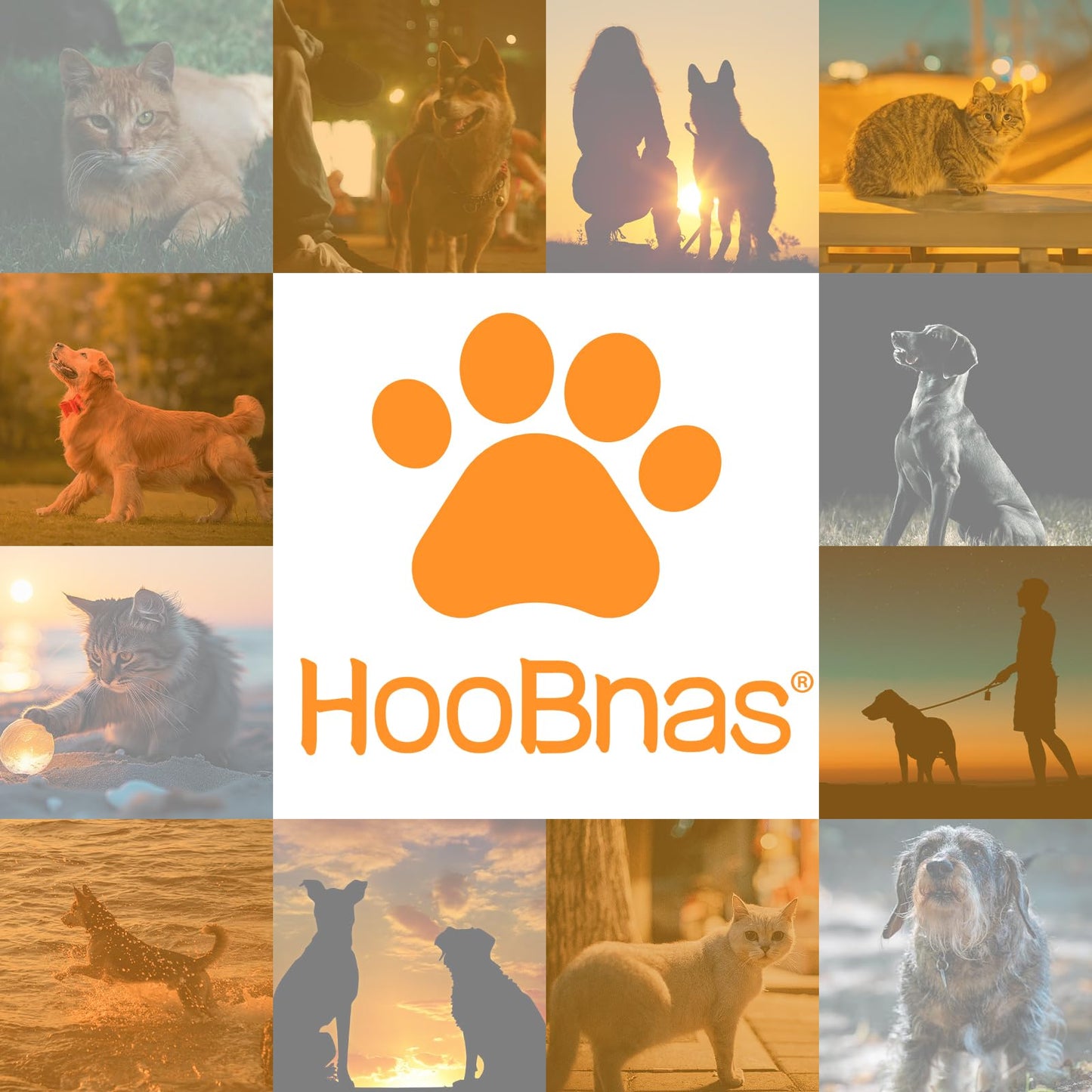 HooBnas Dog Light for Night Walking, 2 Modes Dog Collar Projector Lamp, USB Rechargeable Collar Light for Nighttime Clip on or Wearable for Walking, Running, Camping, Cycling