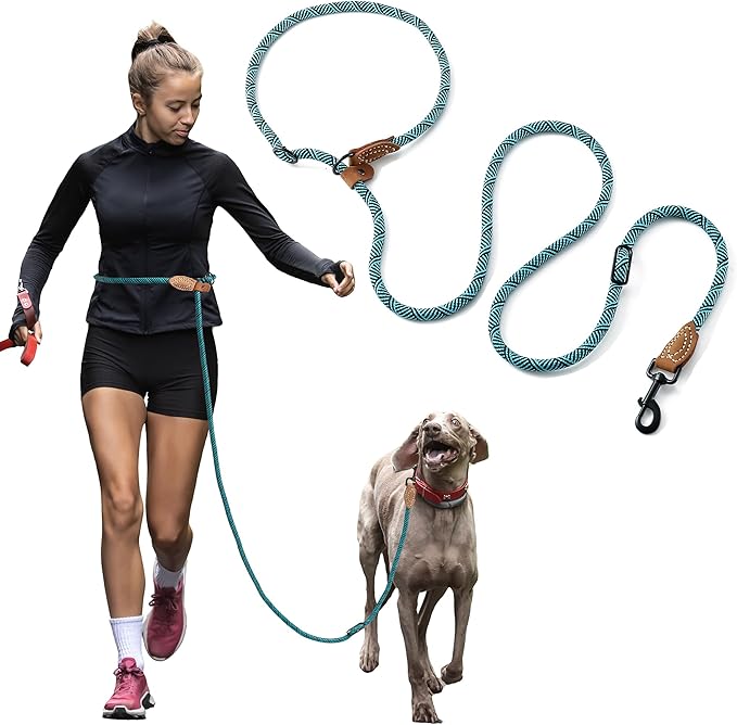 Mile High Life Hands Free Dog Leash, Crossbody Waist Leash with Genuine Leather Connection, Multifunctional Adjustable Slip Lead for Dog Walking Running (Green, 8FT)