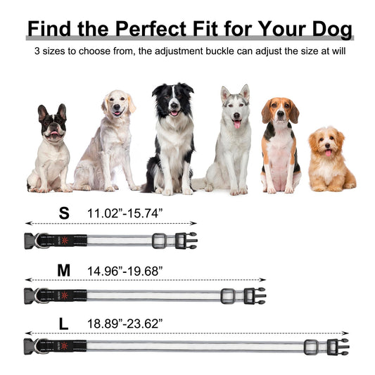 Light Up Dog Collar, Multicolor LED Dog Collar with 7 Modes, USB-C Rechargeable Reflective Glow Collar, Waterproof & Adjustable Design with Battery Indicator for Safe Night Walks (Small)