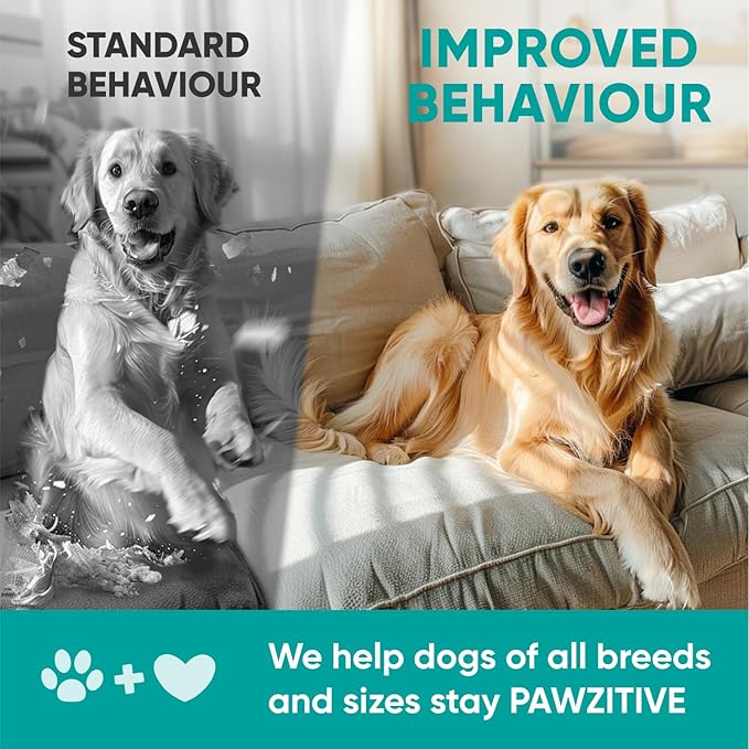 Hemp Calming Chews for Dogs - Dog Calming Chews for Anxiety Relief, Stress, Separation, Fireworks, Thunder, Travel, Vet Visits - USA Product - 120 Soft Treats with Melatonin, Chamomile, Passion Flower