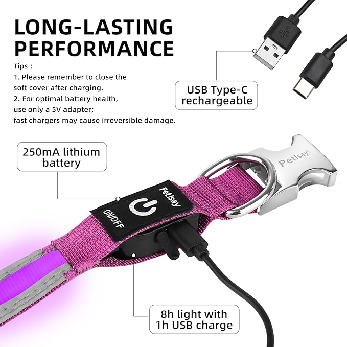 PetIsay LED Dog Collar Metal Buckle - Heavy Duty Light up Collars - Rechargeable IP68 Waterproof - Lighted Dog Collar for Night Walking, Hiking, Camping (Medium, Purple)