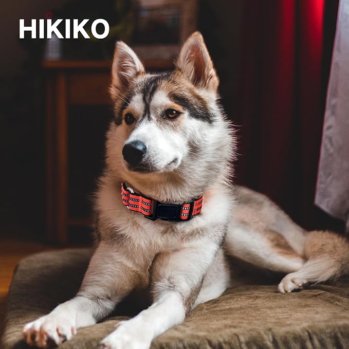 Hikiko Martingale Dog Collars Reflective Nylon Dog Collar with Quick Release Buckle Adjustable Training No Slip Dog Collar (Medium, Tangerine)