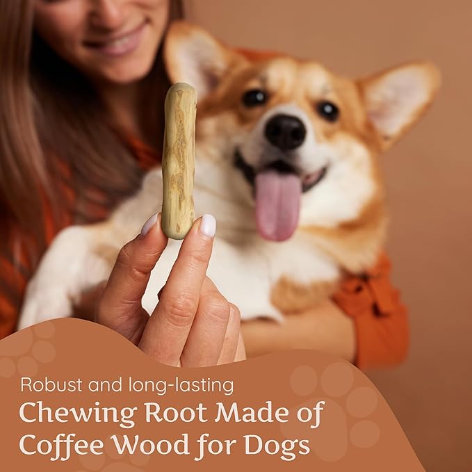 Wildfang® Coffee Wood Dog Chew, Small - Tough Chew Toys for Aggressive Chewers, Dog Teething Toys for Puppies, Training for Chewing Muscles, Coffee Tree Sticks for Small Dogs (22-33 lbs), Pack of 3
