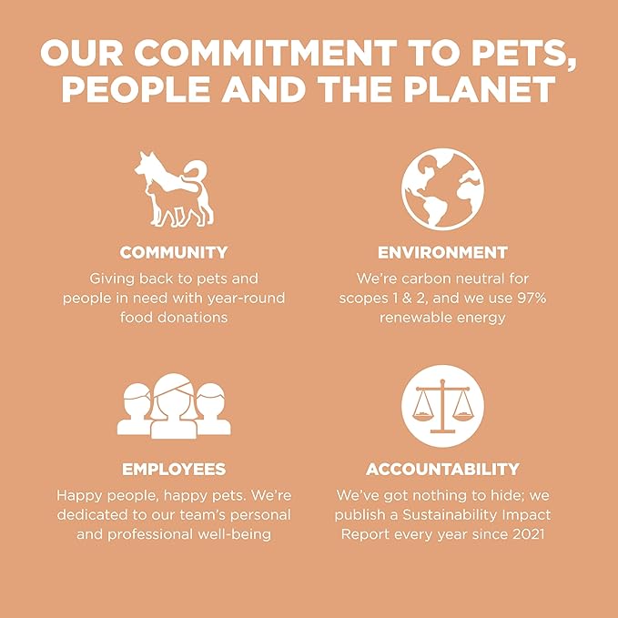 Go! Solutions Digestion + Gut Health - Salmon Dog Treats - Soft and Chewy Dog Treats, 6 oz Bag