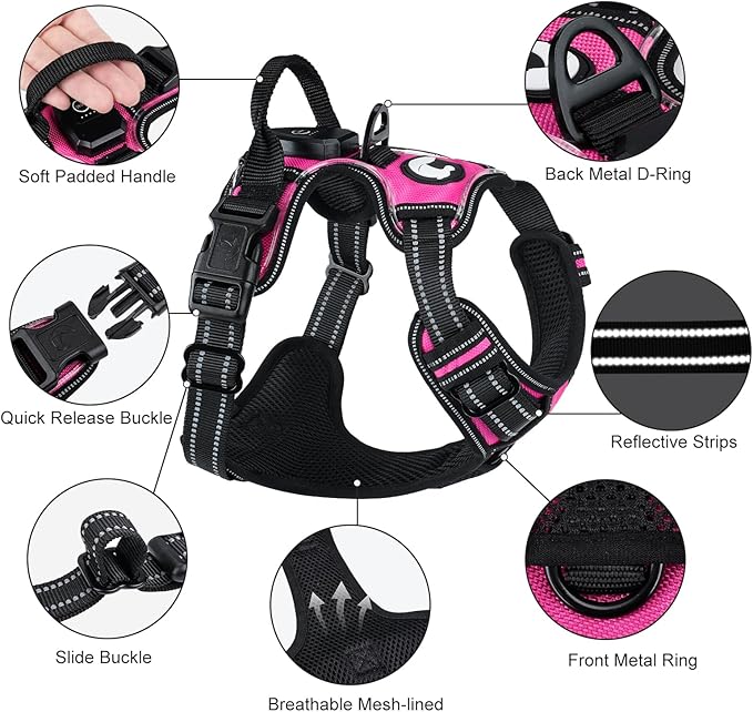 Taglory Light Up Dog Harness, Rechargeable No Pull Dog Vest with 3 Lightning Modes, Reflective Dog Harness with 2 Leash Clips & 4 Adjustable Slide Strips for Medium Dogs, Hotpink-Hotpink, M