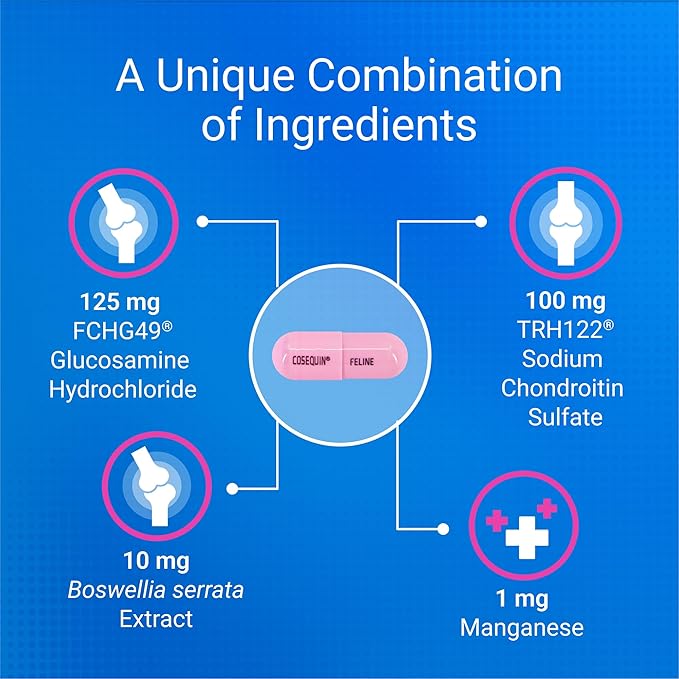 Nutramax Cosequin for Cats Joint Health Supplement, Contains Glucosamine for Cats, Plus Chondroitin and Boswellia, Supports Healthy Joints, For All Breeds and Sizes, Sprinkle Capsules, 60 Count