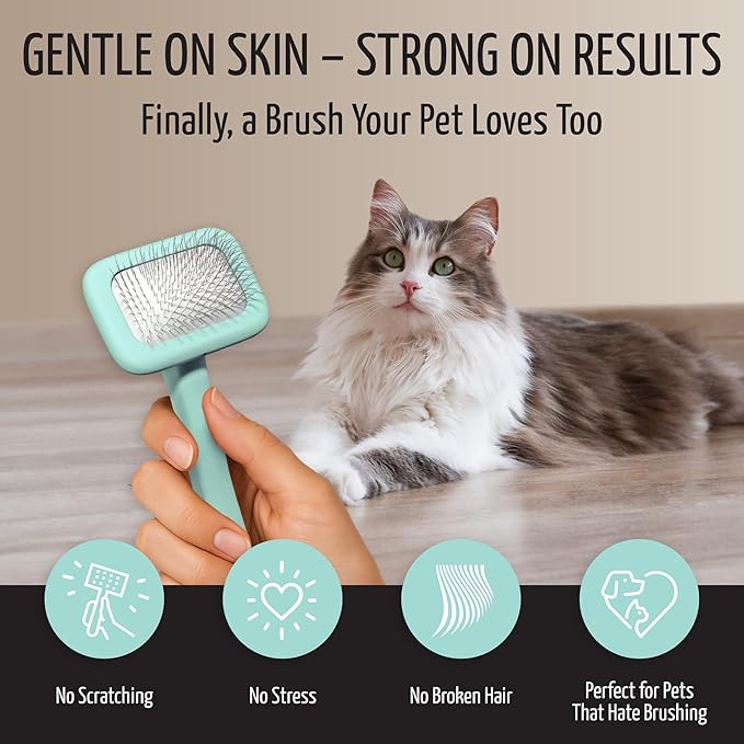 Tauro Pro Line Wooden Deshedding Dog Brush for Long Goldendoodle, Labradoodle & Poodle Hair - Mint Slicker Brush for Dog & Cat Grooming - Rectangular Flexible Cushion & Non-Slip Grip, S