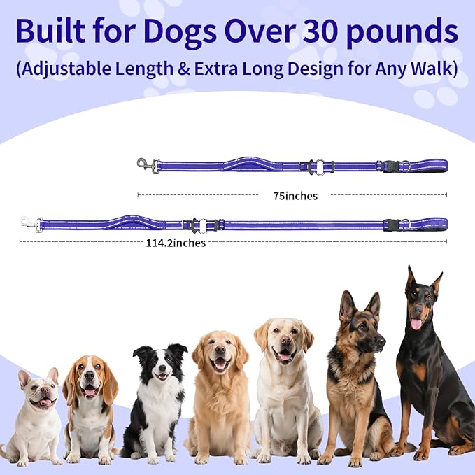 Hands-Free Dog Leash with Adjustable Length 6-9FT + Dual Padded Handles Reflective Safety for Walking, Jogging & Training | Suitable for Medium to Large Dogs & Puppies Blue-L