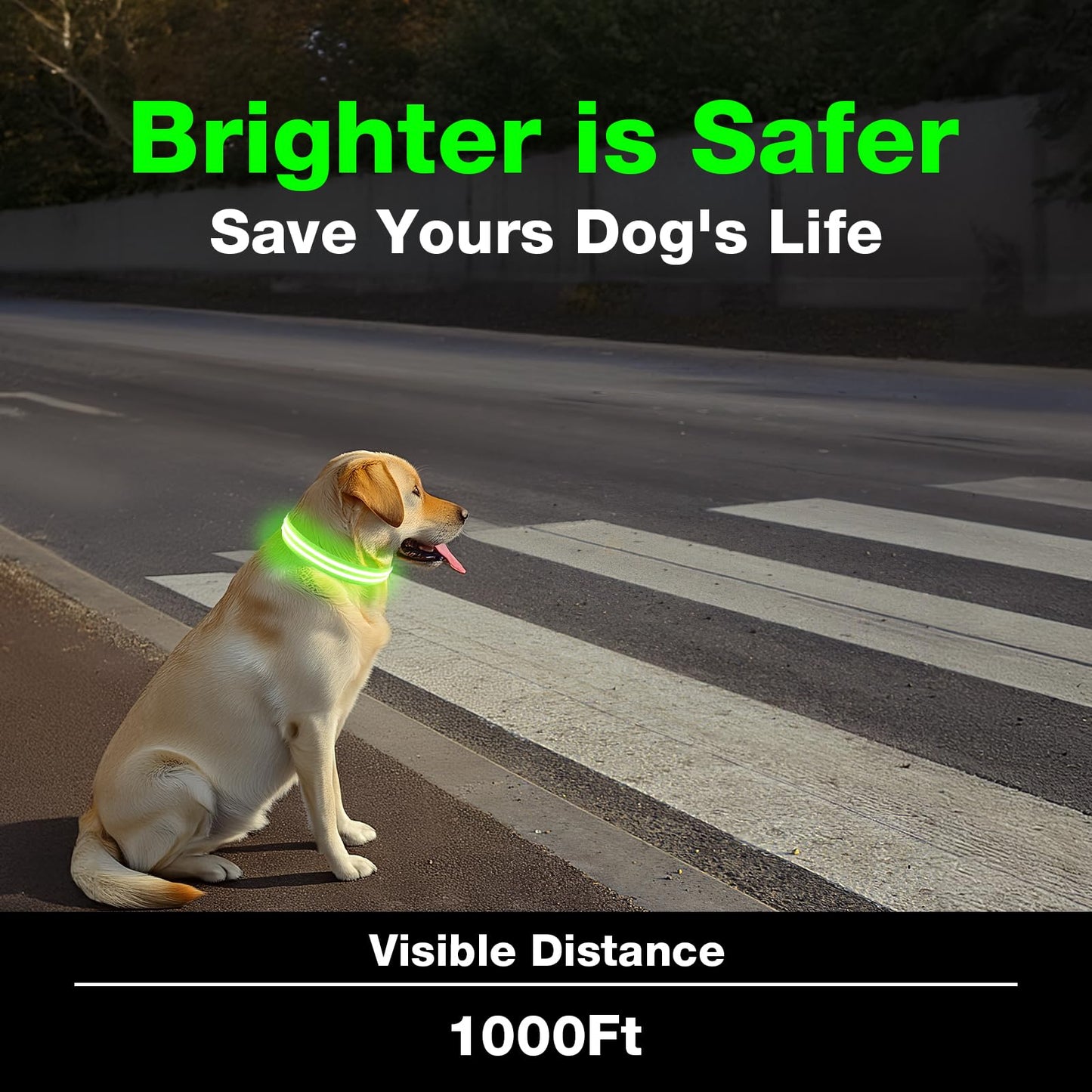LED Dog Collar, Light Up Dog Collar, Lighted Dog Collars Adjustable for Night Walking, Glow in The Dark Dog Collars Light with USB Rechargeable Color Changing Waterproof for Dogs (Green, Small)